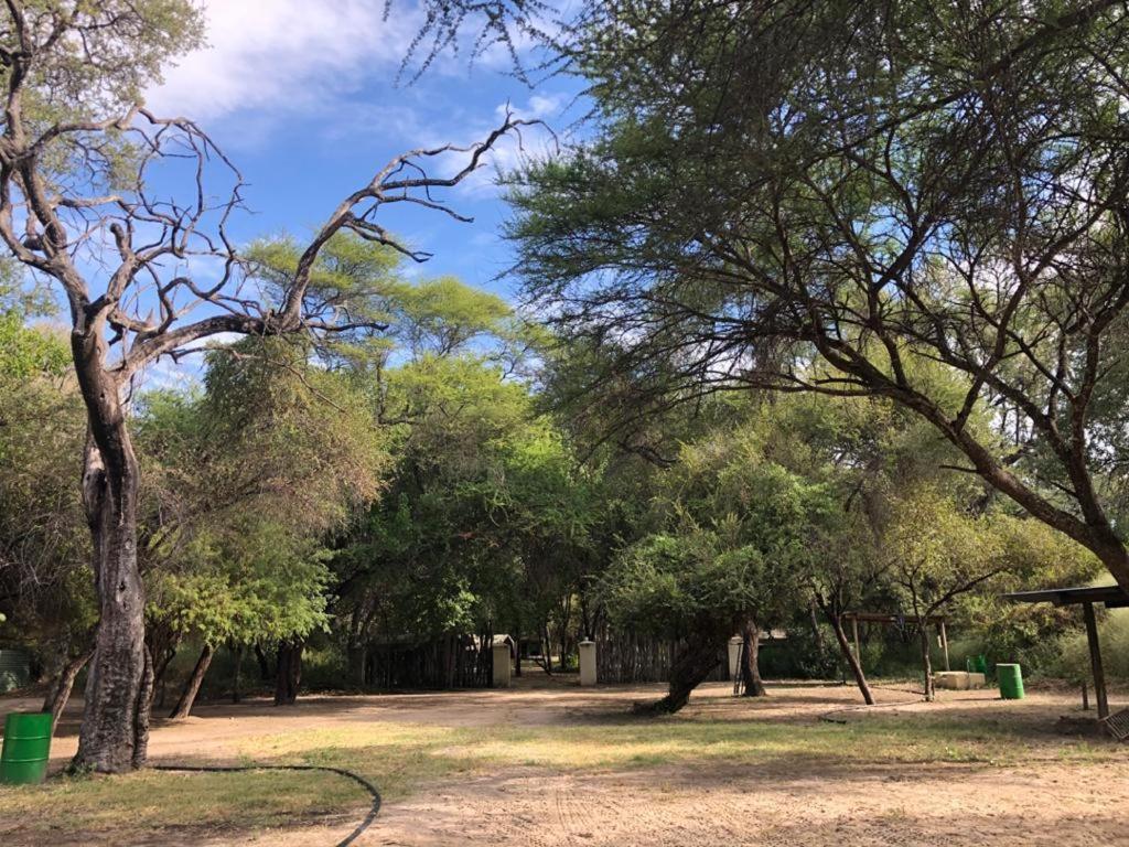 Sitatunga Camp Hotel Maun Bagian luar foto
