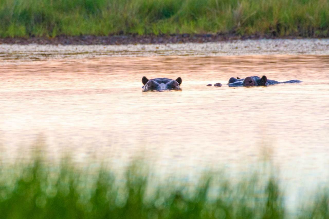 Sitatunga Camp Hotel Maun Bagian luar foto