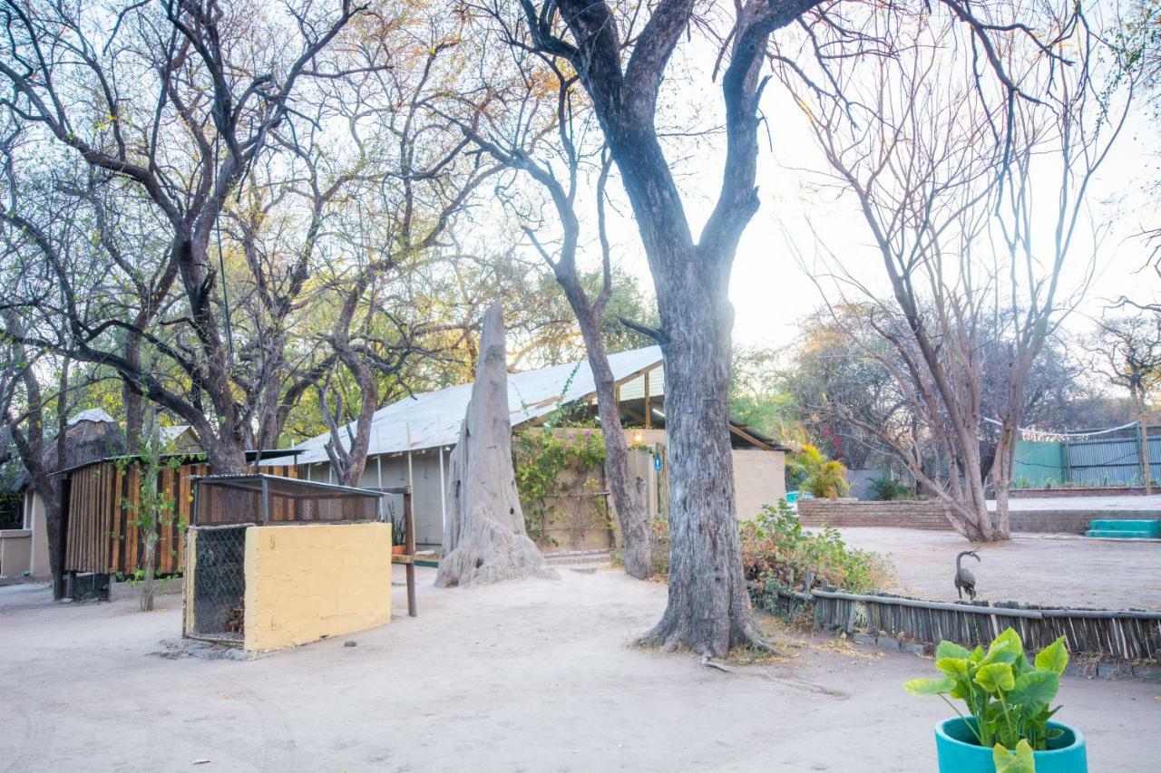 Sitatunga Camp Hotel Maun Bagian luar foto