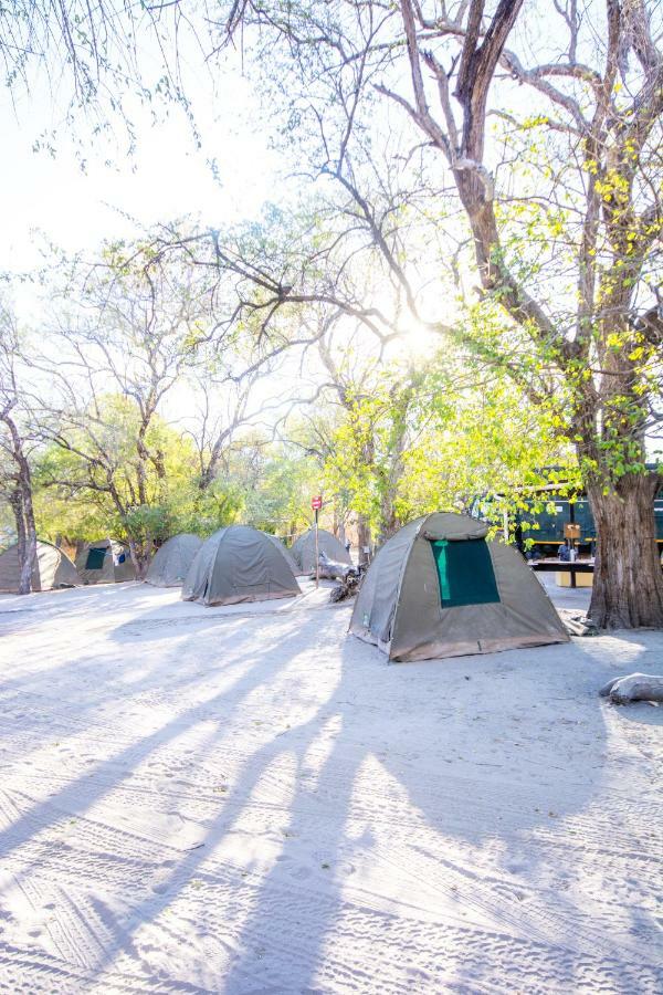 Sitatunga Camp Hotel Maun Bagian luar foto