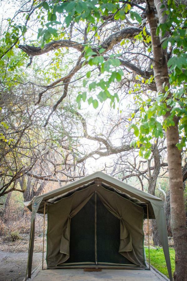 Sitatunga Camp Hotel Maun Bagian luar foto