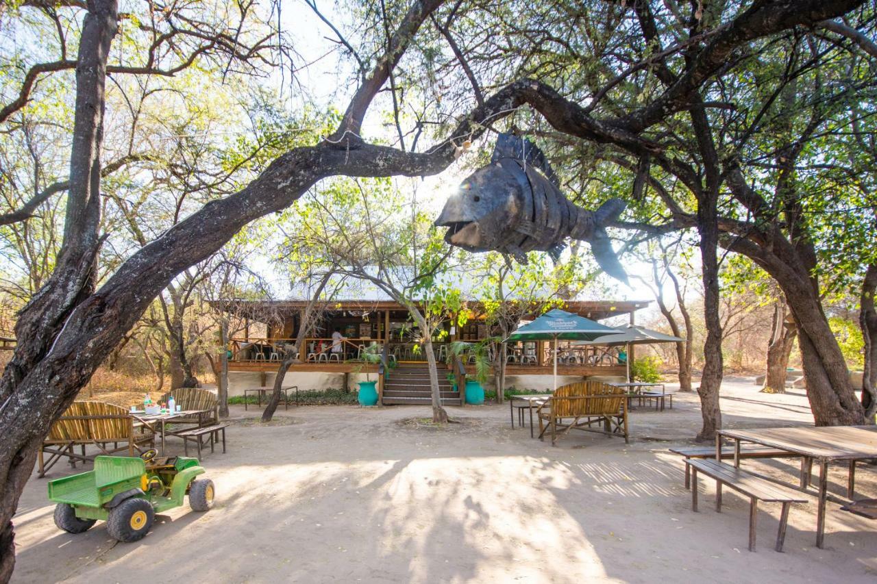 Sitatunga Camp Hotel Maun Bagian luar foto